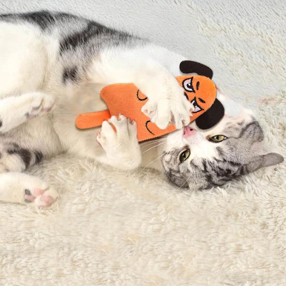 Cartoon Expressie Kattenspeelg - Catnip Interactive Plush Mouse recensie en prijs