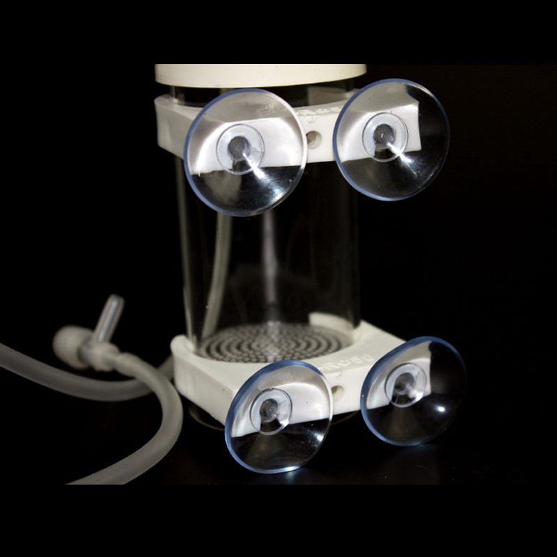 Aquarium Cichliden Tumbler Vis - Aquarium recensie en prijs