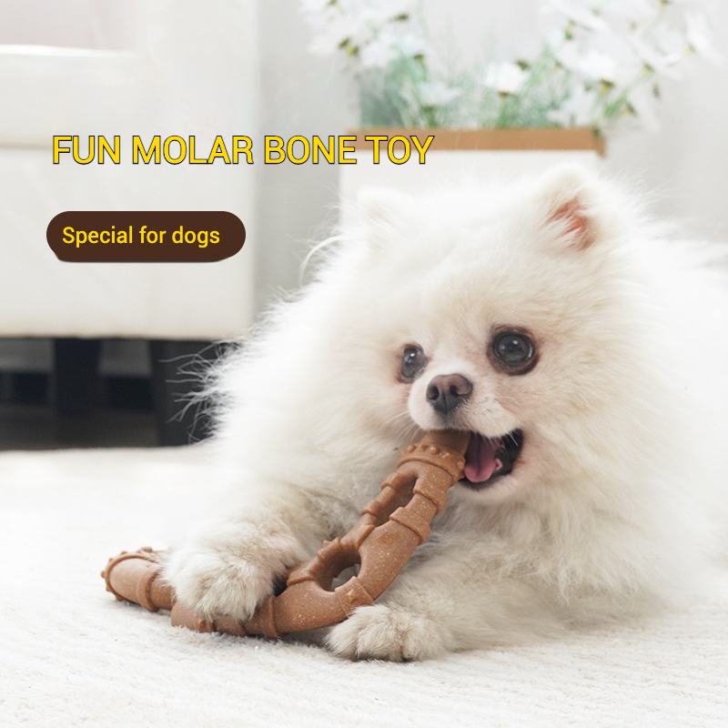 Imitatiebot Molaire hondenspee - Teeth Cleaning Dog Chew Bone recensie en prijs