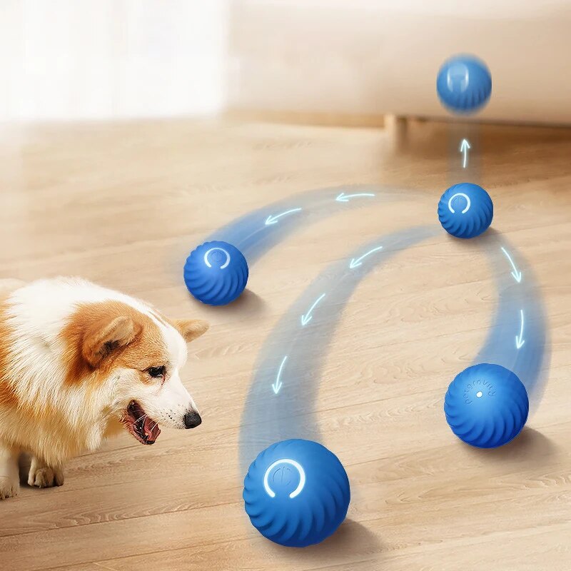 Hondenspeelgoed Intelligente z - Suction Cup Dog Tug Toy recensie en prijs