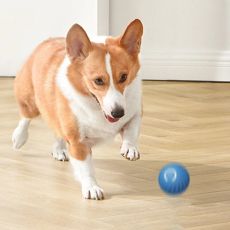 Hondenspeelgoed Intelligente z - Suction Cup Dog Tug Toy recensie en prijs