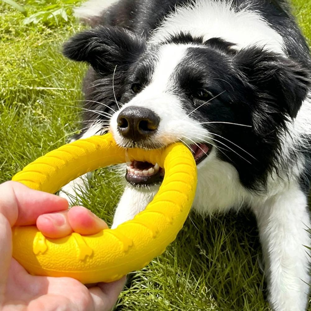 Hondenring Speelgoed Onverwoes - Suction Cup Dog Tug Toy recensie en prijs