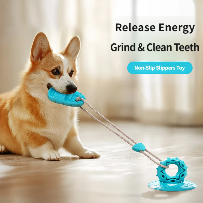 Hondenspeelgoed met zuignap, i - Suction Cup Dog Tug Toy recensie en prijs