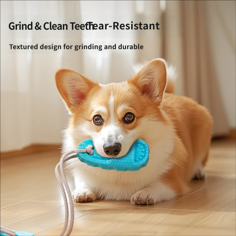 Hondenspeelgoed met zuignap, i - Suction Cup Dog Tug Toy recensie en prijs