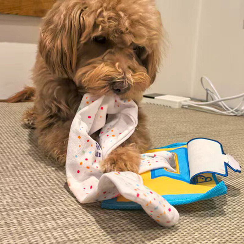 Interactieve Hondenspeelgoed S - Snuffle Mat For Dogs recensie en prijs
