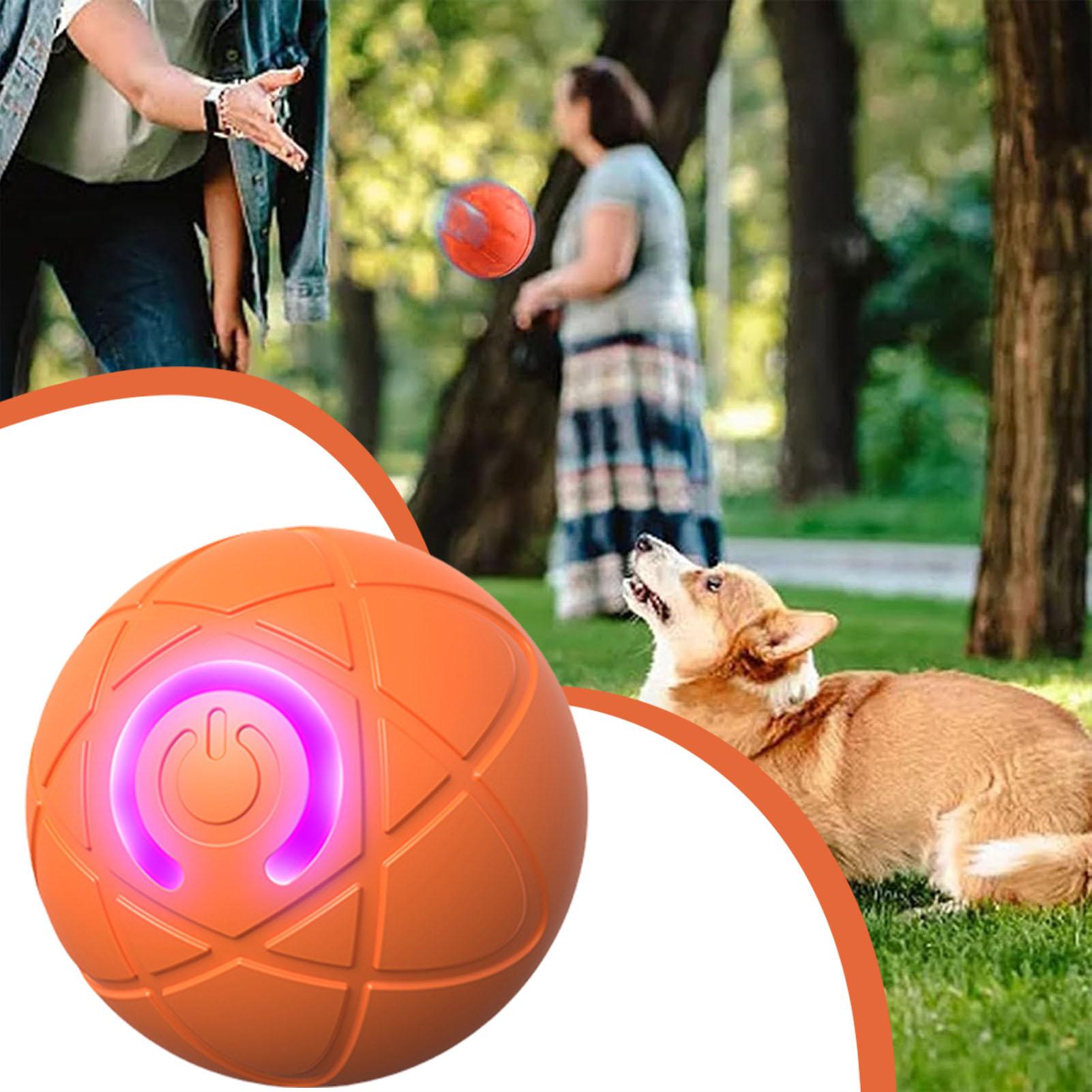 Hondenspeelgoedbal Interactiev - Automatic Moving Dog Ball recensie en prijs