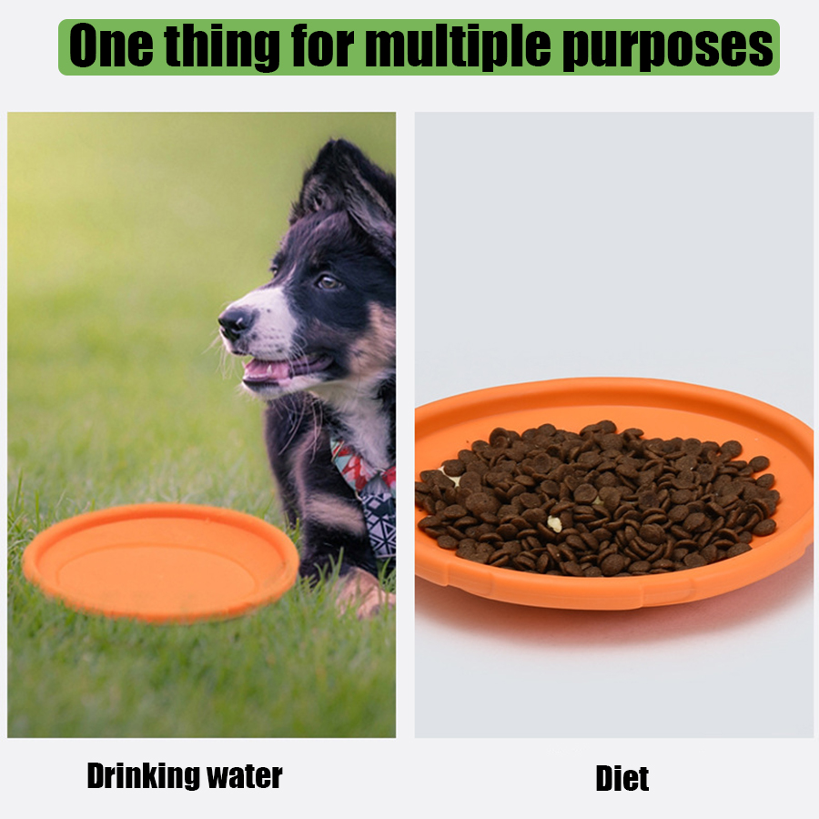 Grote Hond Gouden Vacht Huisdi - Flying Disc Dog Training Toy recensie en prijs