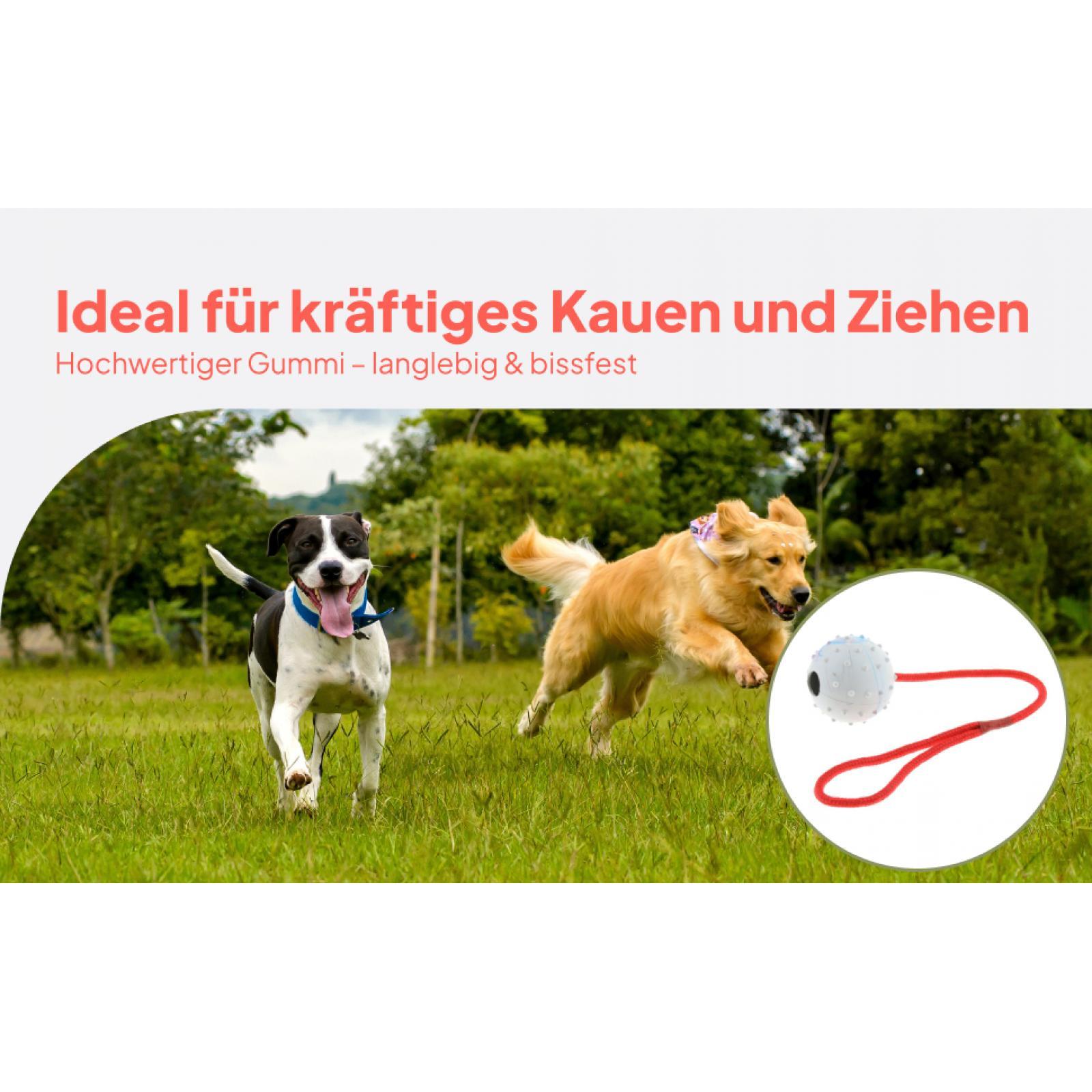 Hondenspeelgoed van zacht rubb - Rubber Treat Dispensing Dog Toy recensie en prijs