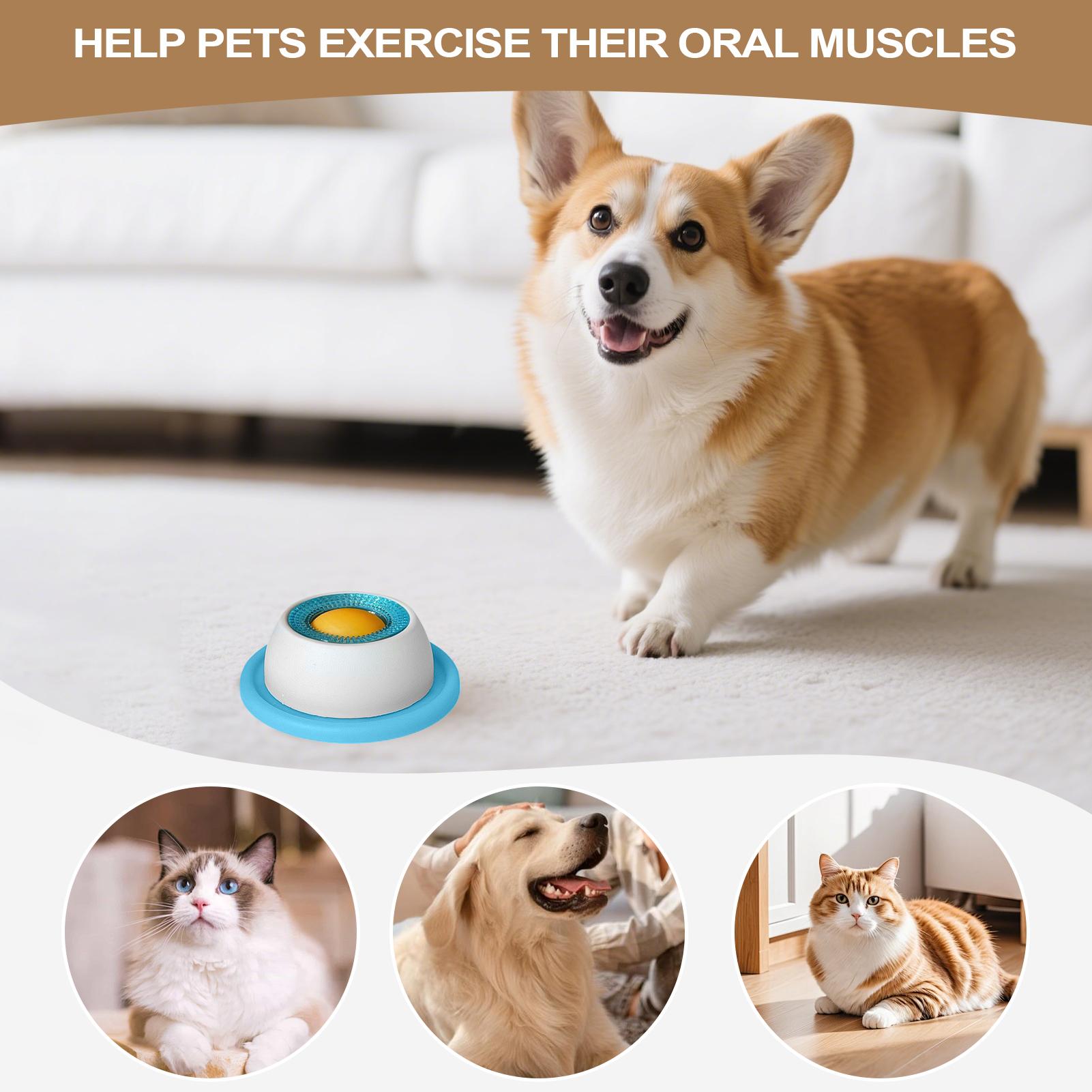 Accessoires voor huisdierenvoe - Dog Puzzle Feeder Toy recensie en prijs